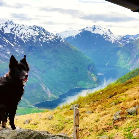 Alojamento de Turismo Selvagem Hole